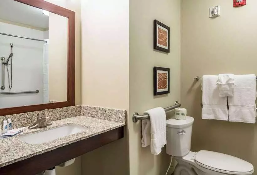 호텔 Comfort Inn Edwardsville St. Louis