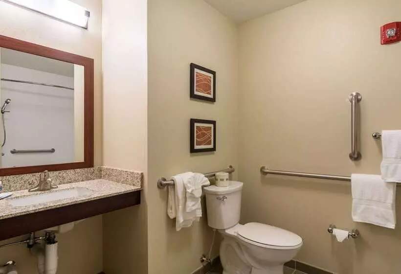 호텔 Comfort Inn Edwardsville St. Louis