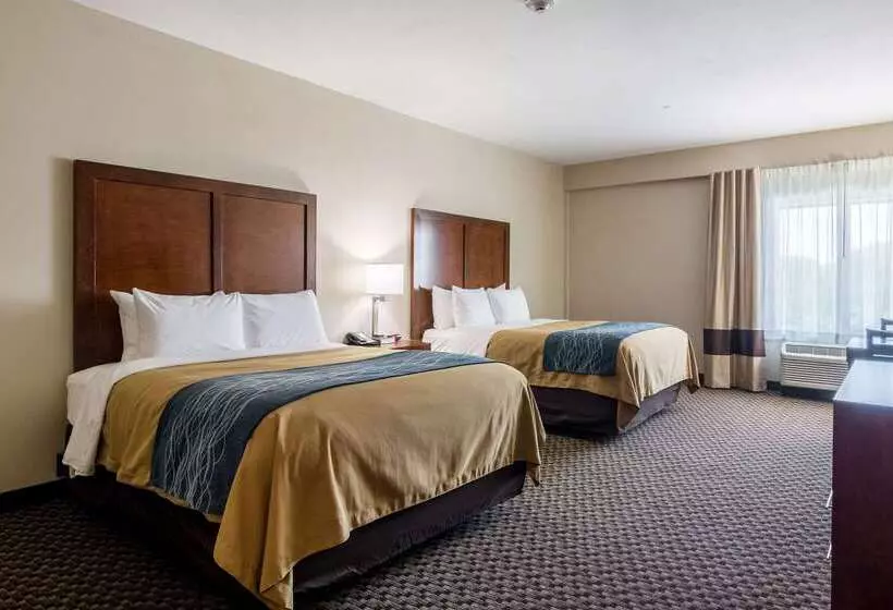 호텔 Comfort Inn Edwardsville St. Louis