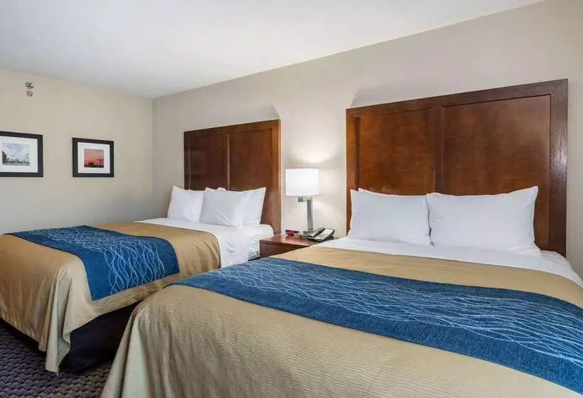 호텔 Comfort Inn Edwardsville St. Louis