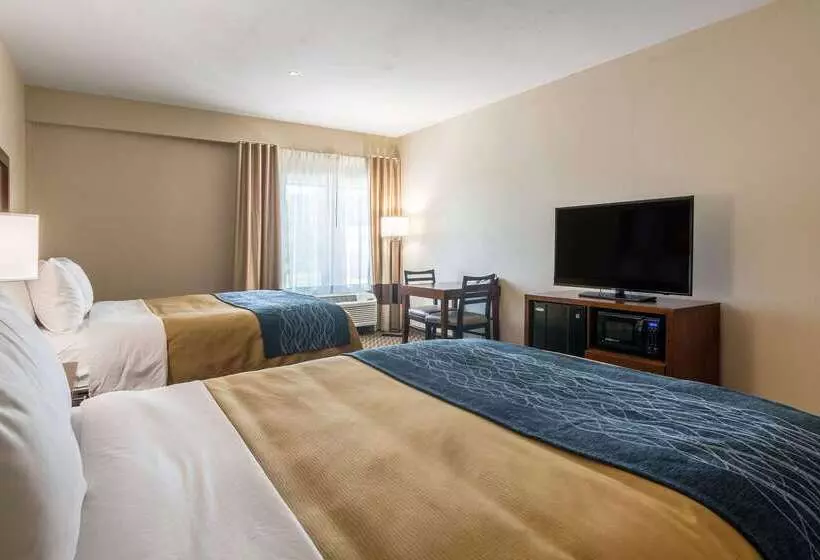 호텔 Comfort Inn Edwardsville St. Louis