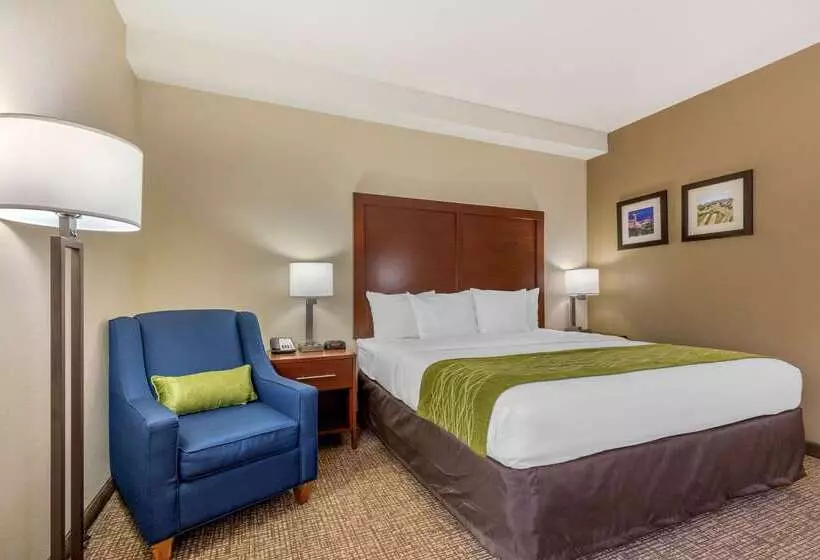 호텔 Comfort Inn Lenoir City Knoxville