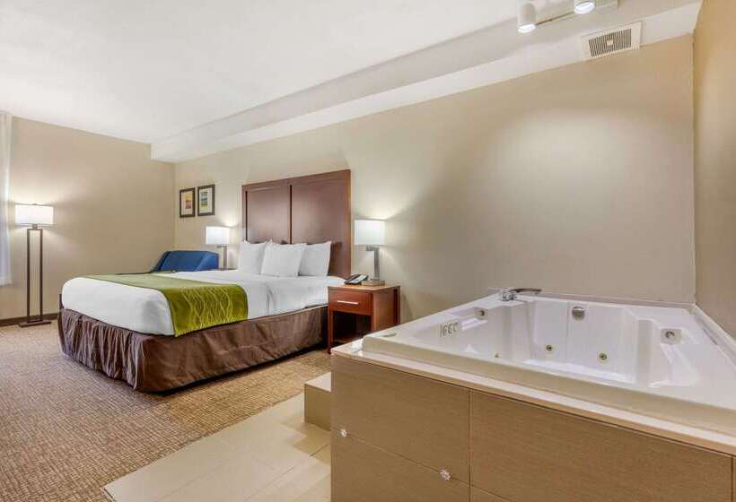 בית מלון כפרי Comfort Inn Lenoir City Knoxville