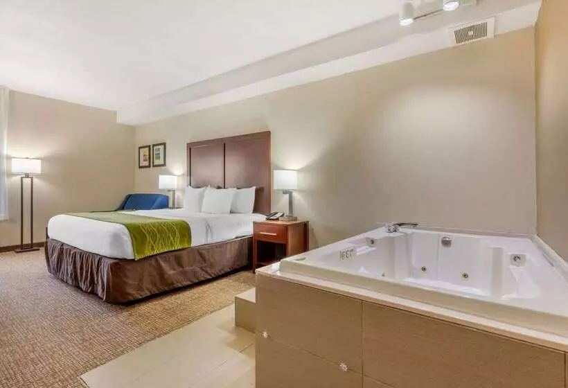 호텔 Comfort Inn Lenoir City Knoxville