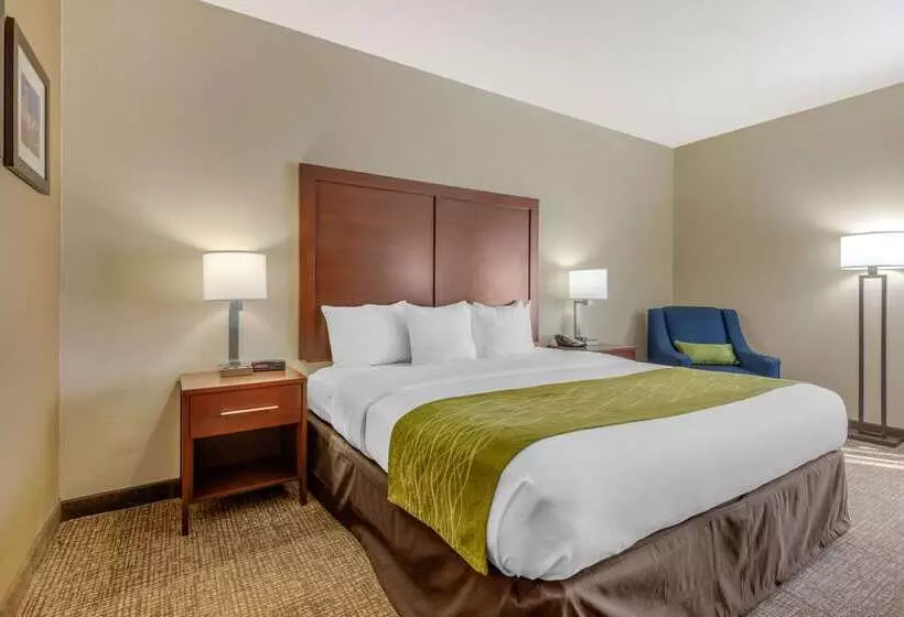 호텔 Comfort Inn Lenoir City Knoxville