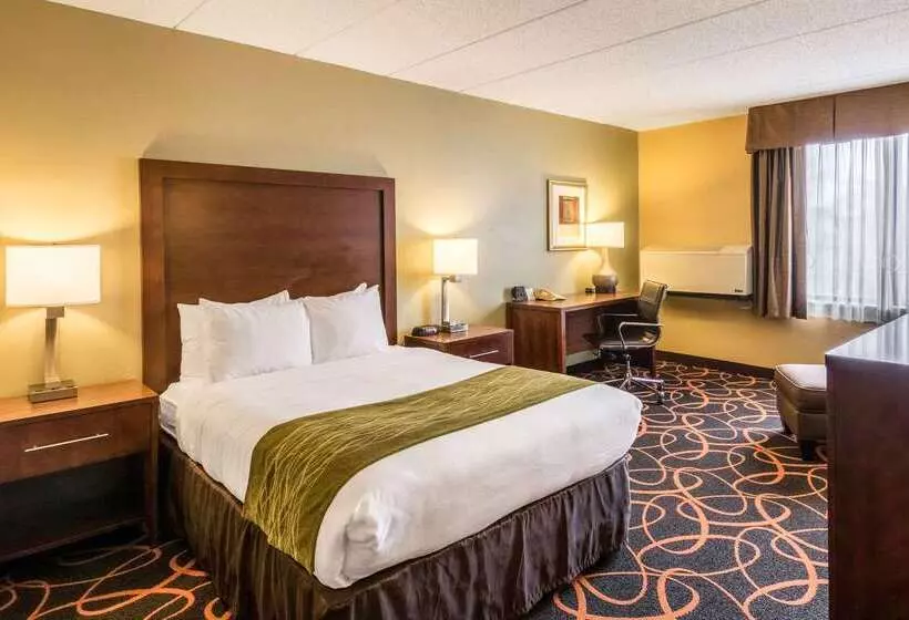 فندق Comfort Inn Plymouthminneapolis