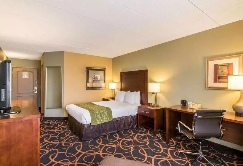 فندق Comfort Inn Plymouthminneapolis