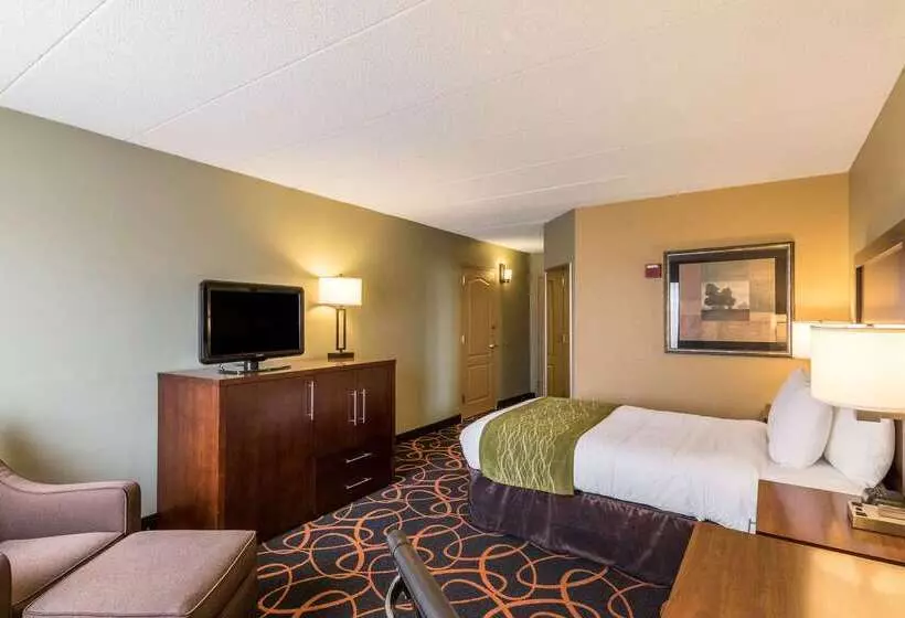 فندق Comfort Inn Plymouthminneapolis