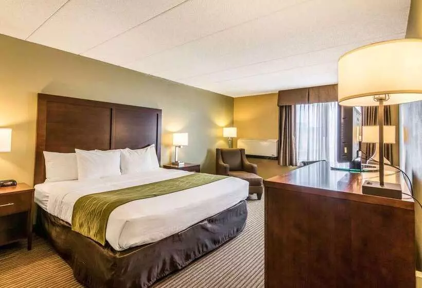 فندق Comfort Inn Plymouthminneapolis