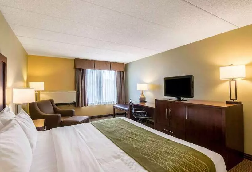 فندق Comfort Inn Plymouthminneapolis