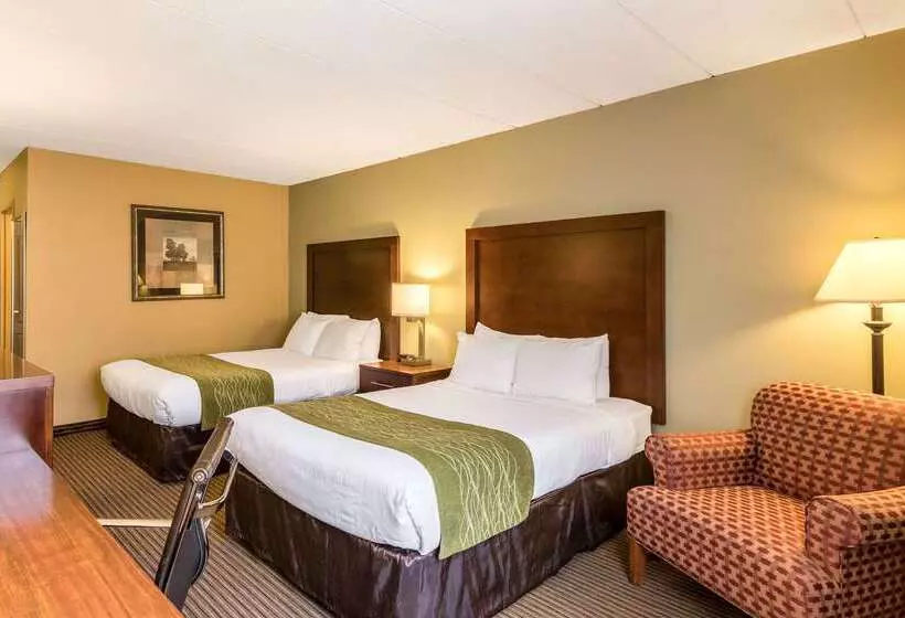 فندق Comfort Inn Plymouthminneapolis