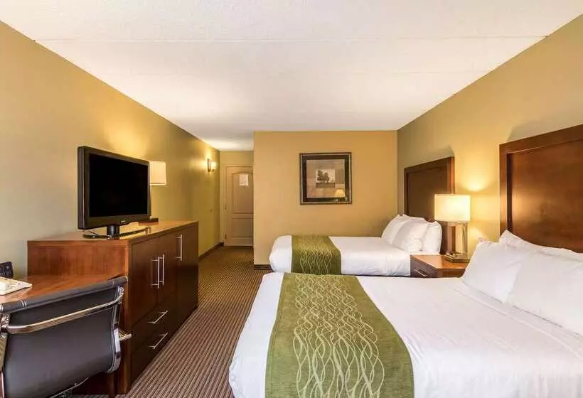فندق Comfort Inn Plymouthminneapolis