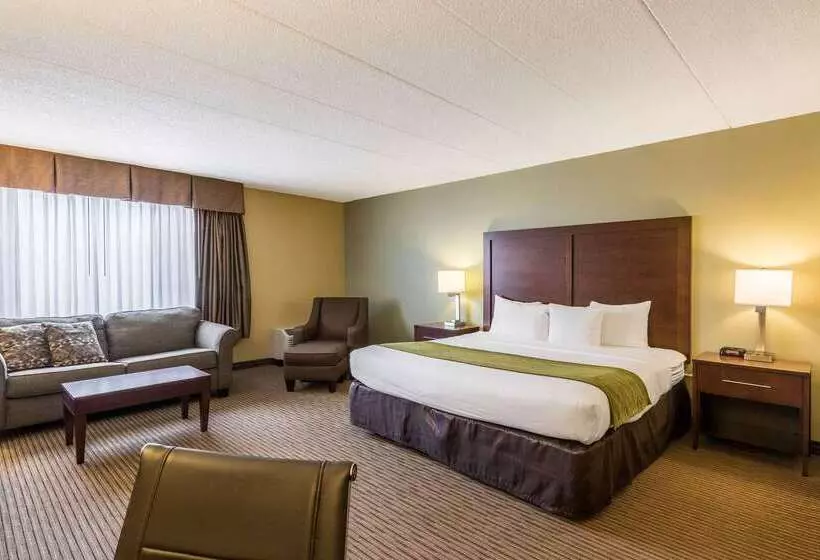 فندق Comfort Inn Plymouthminneapolis