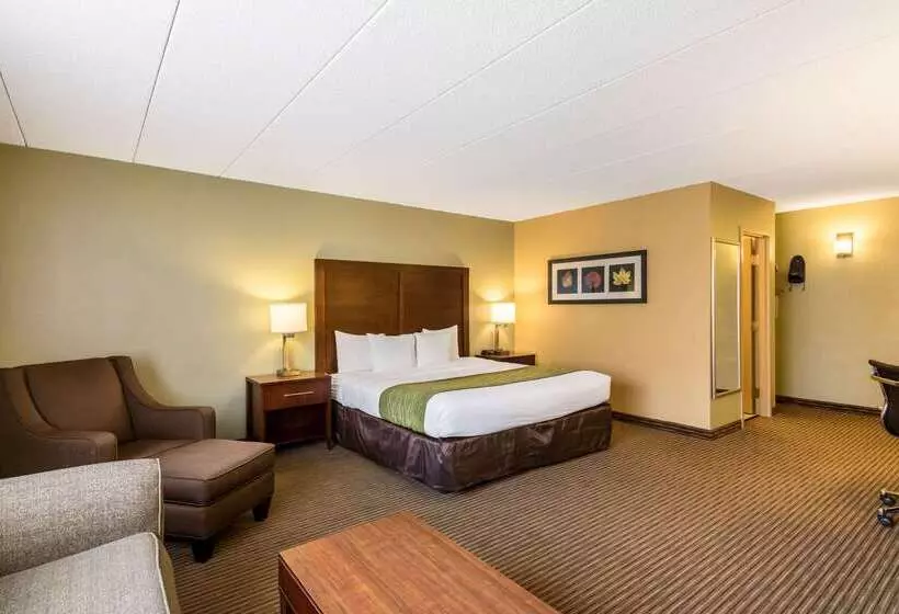 فندق Comfort Inn Plymouthminneapolis