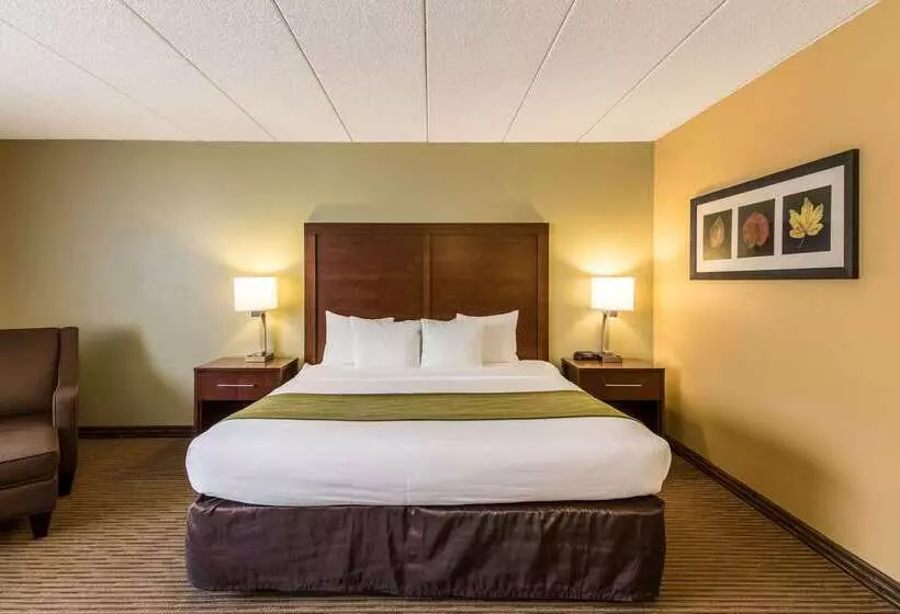 فندق Comfort Inn Plymouthminneapolis
