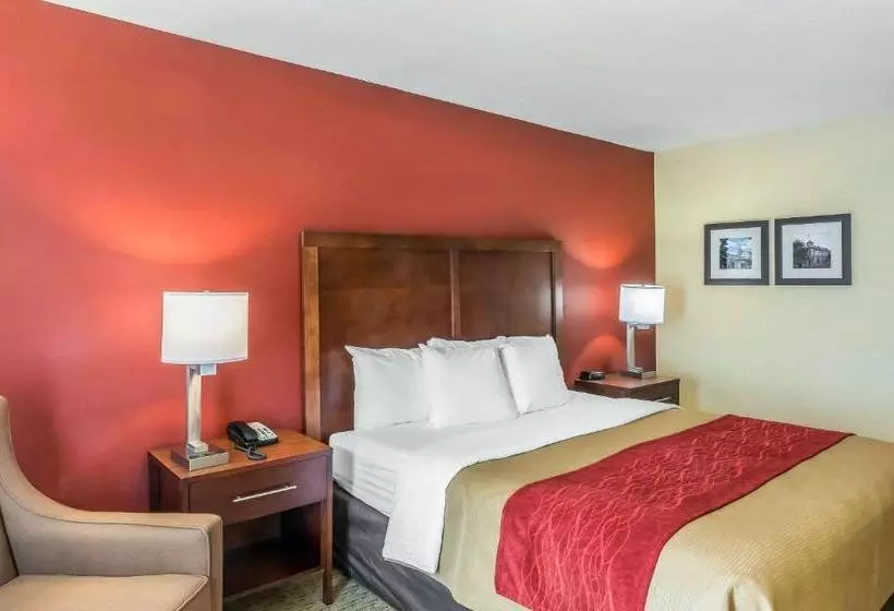 酒店 Comfort Inn Redwood City