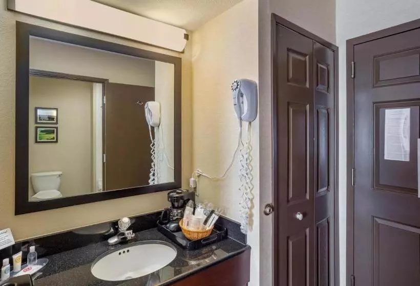 酒店 Comfort Inn Redwood City