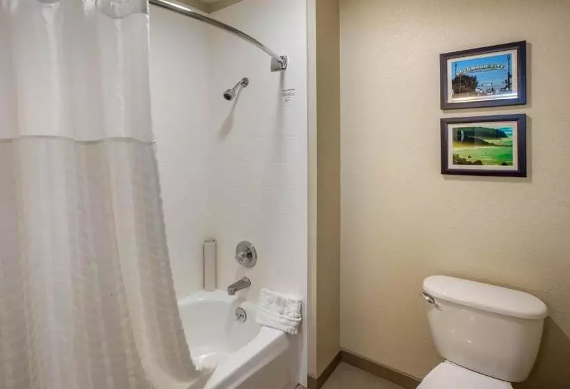 酒店 Comfort Inn Redwood City