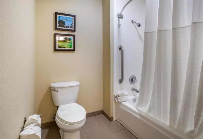 酒店 Comfort Inn Redwood City