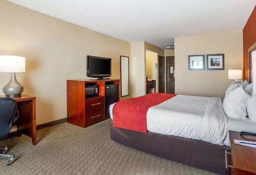 酒店 Comfort Inn Redwood City