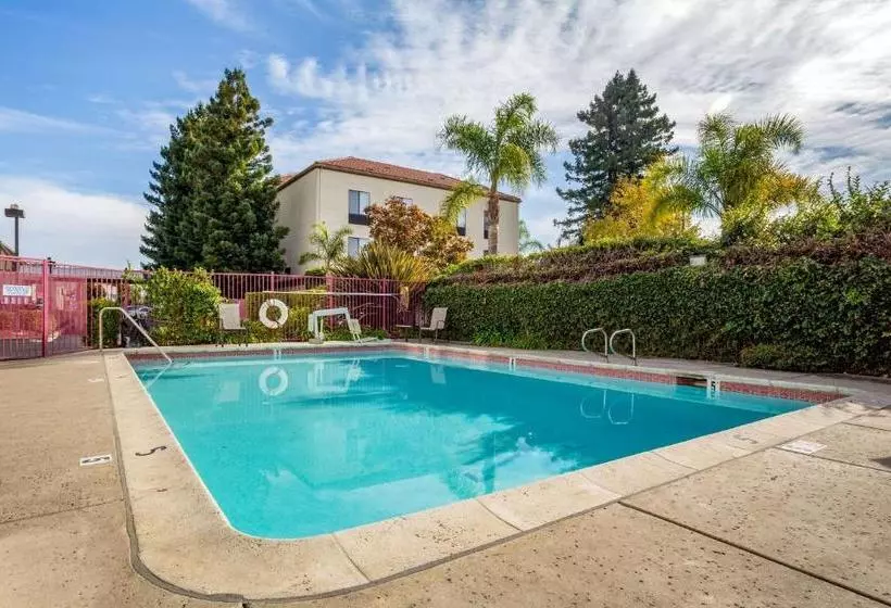 酒店 Comfort Inn Redwood City