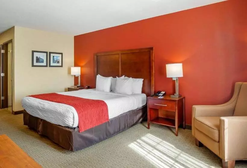 酒店 Comfort Inn Redwood City