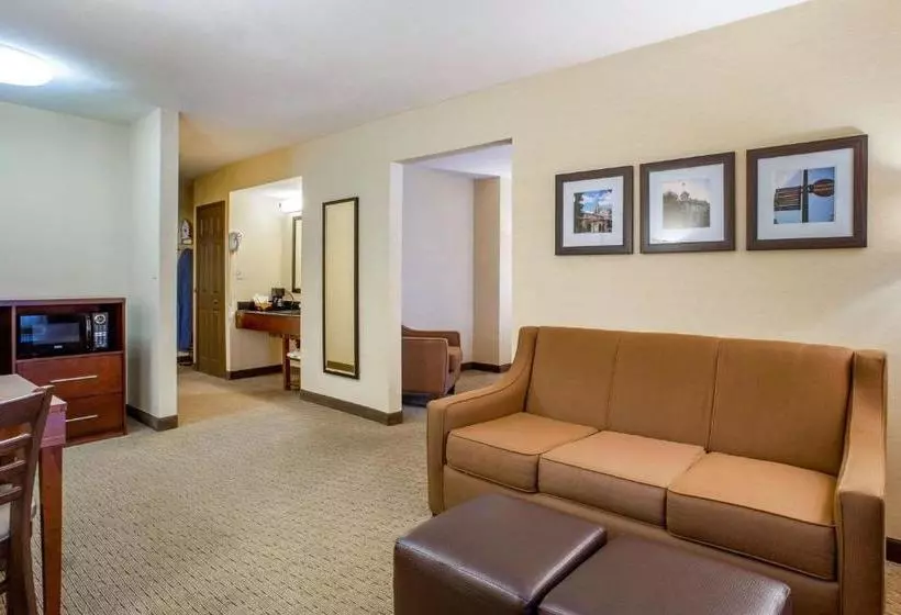 酒店 Comfort Inn Redwood City