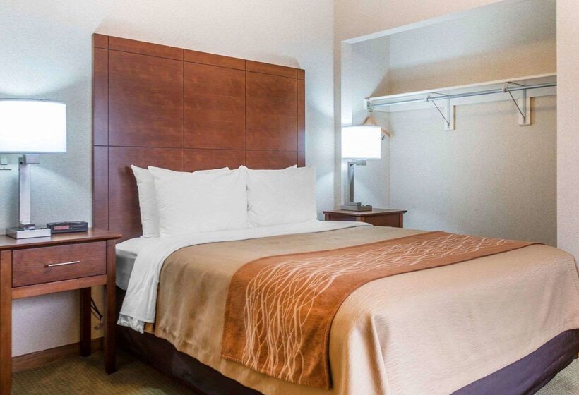 בית מלון כפרי Comfort Inn Salida