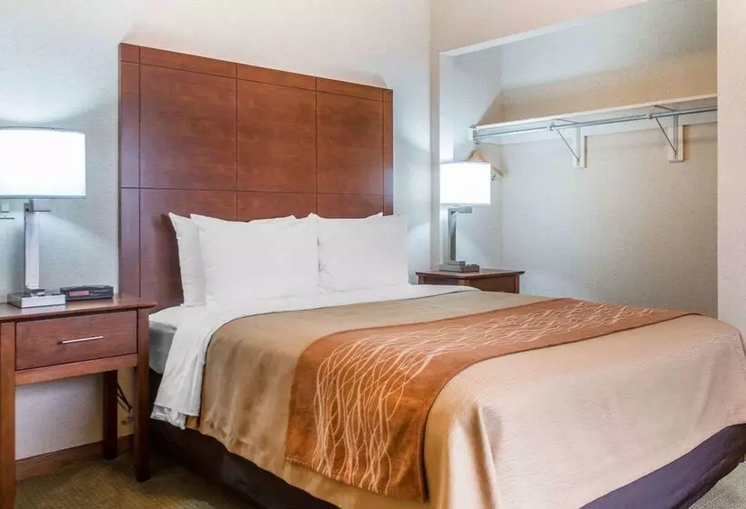 酒店 Comfort Inn Salida