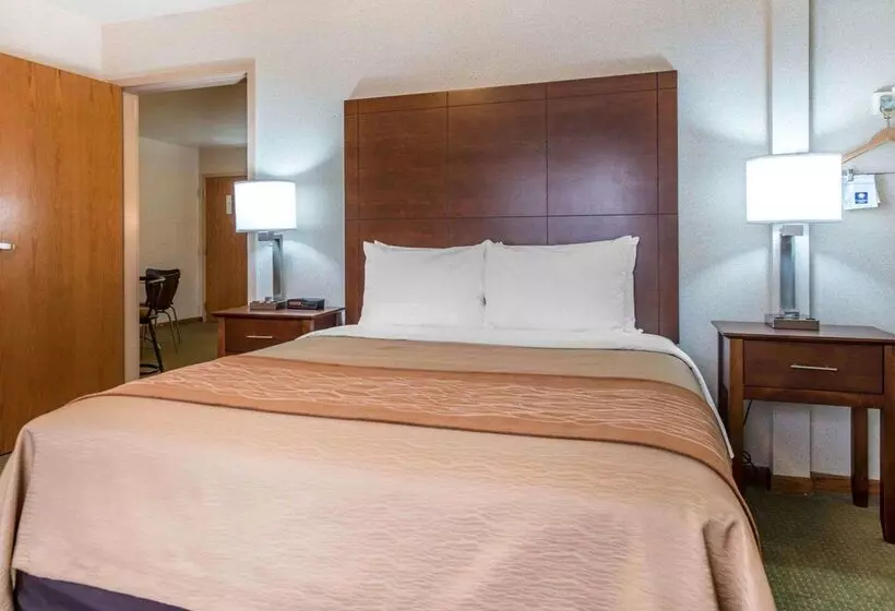 酒店 Comfort Inn Salida