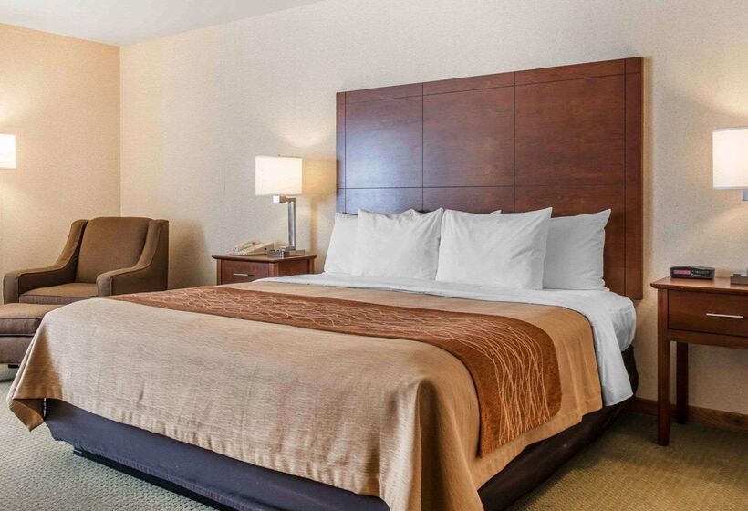 בית מלון כפרי Comfort Inn Salida