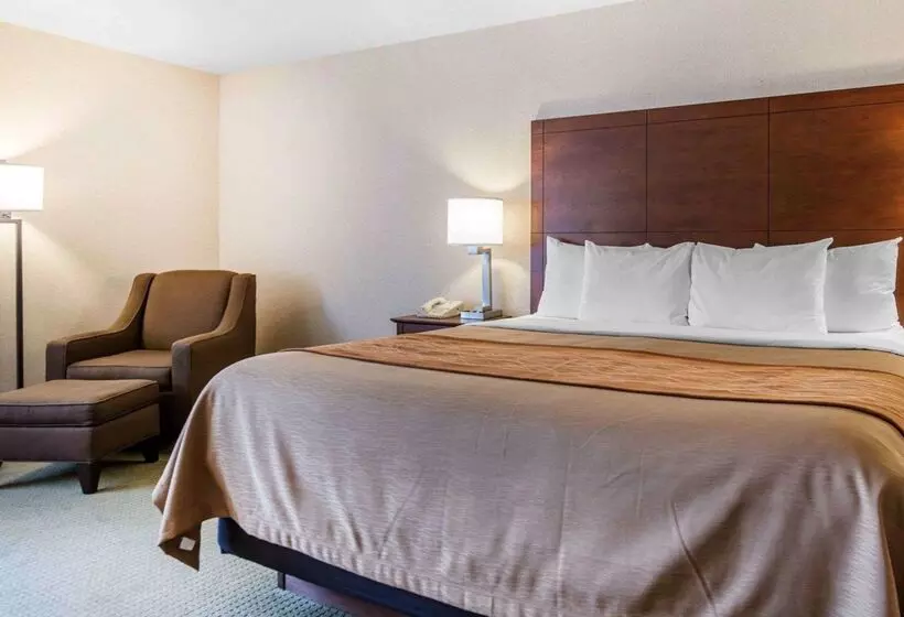 酒店 Comfort Inn Salida