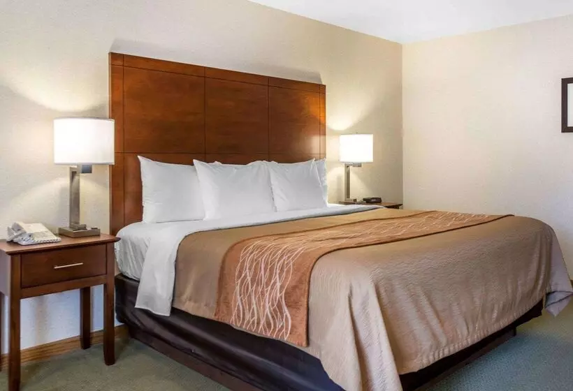 酒店 Comfort Inn Salida