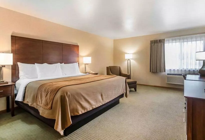 酒店 Comfort Inn Salida