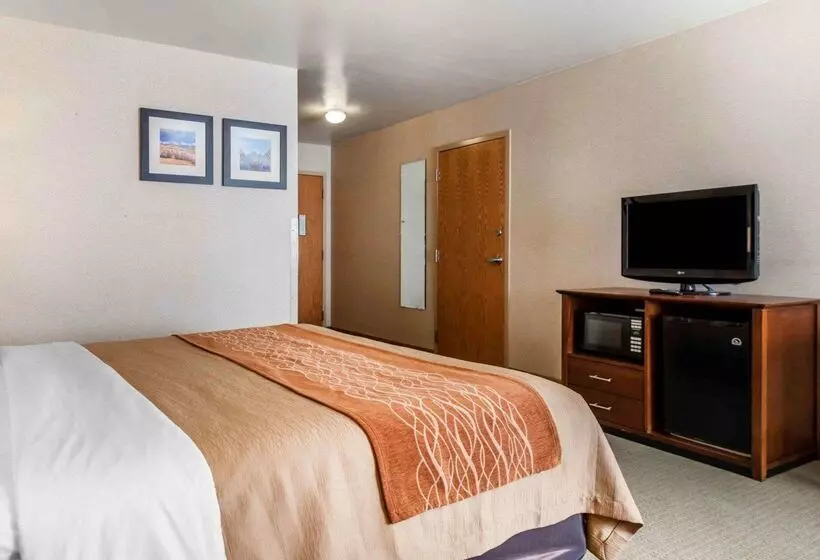 酒店 Comfort Inn Salida