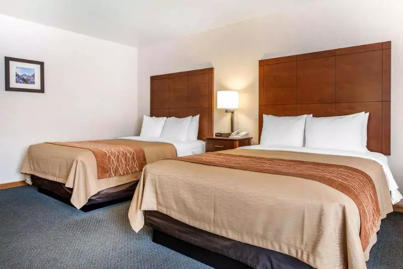 酒店 Comfort Inn Salida