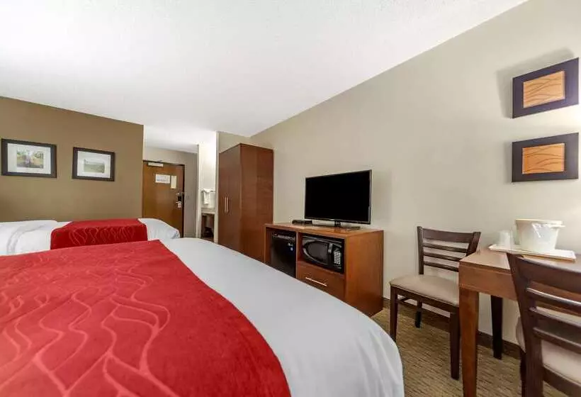Отель Comfort Inn
