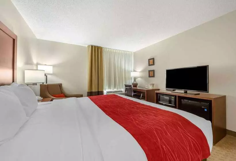 Отель Comfort Inn