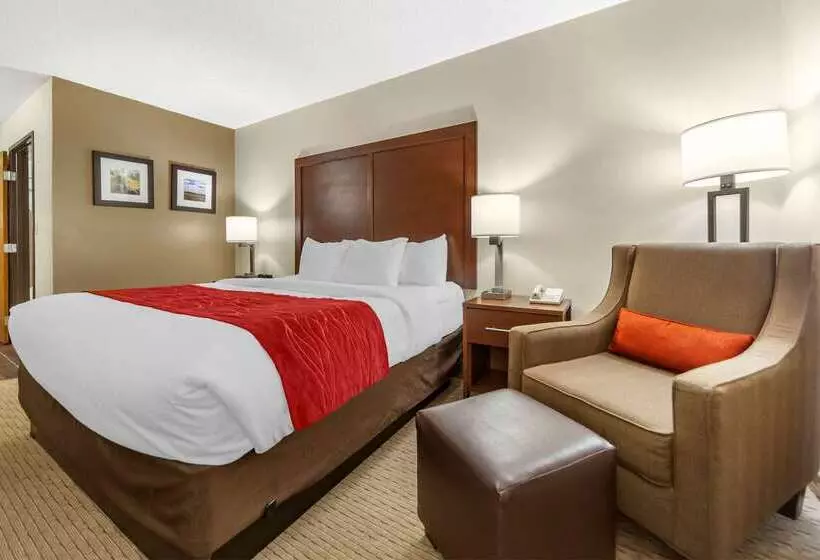 Отель Comfort Inn