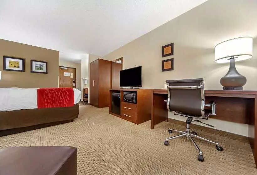 Отель Comfort Inn
