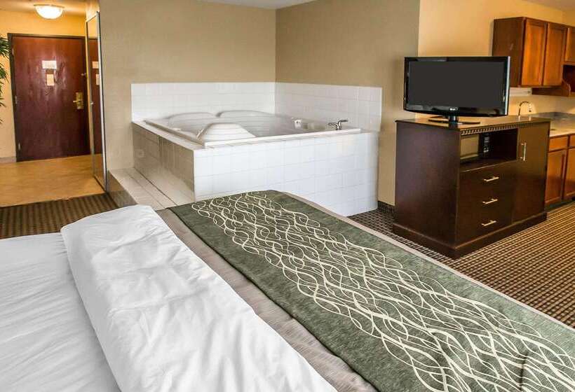 酒店 Econo Lodge Inn & Suites Monroe