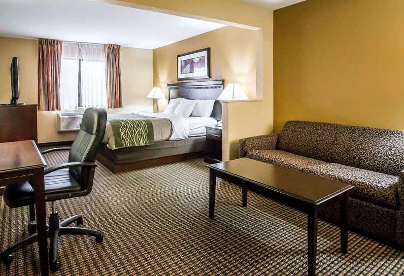 酒店 Econo Lodge Inn & Suites Monroe