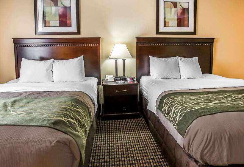 酒店 Econo Lodge Inn & Suites Monroe