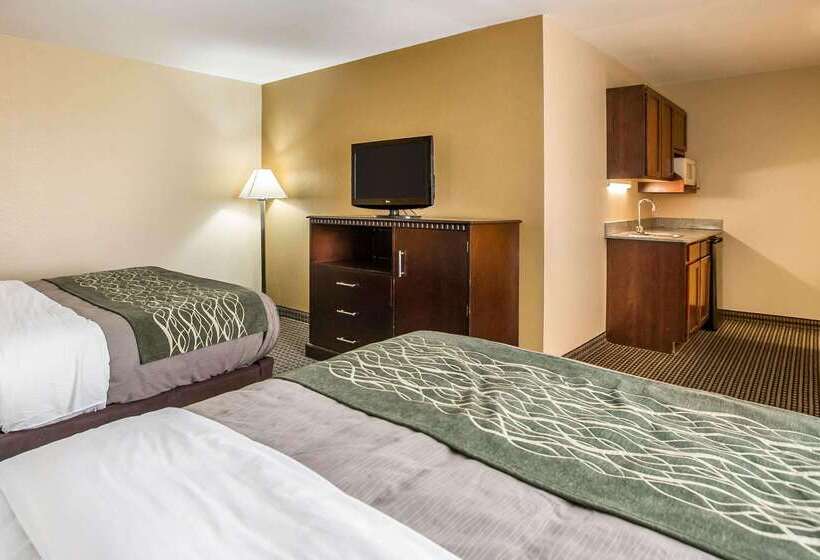 酒店 Econo Lodge Inn & Suites Monroe