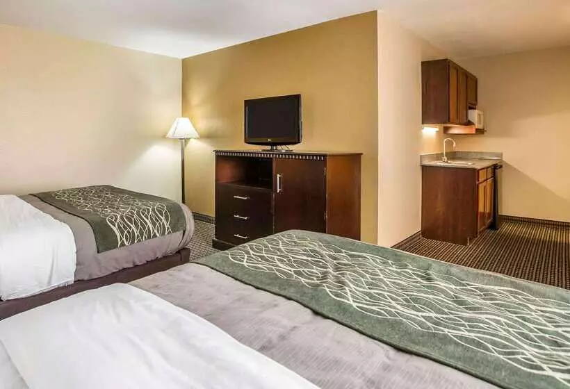 בית מלון כפרי Econo Lodge Inn & Suites Monroe