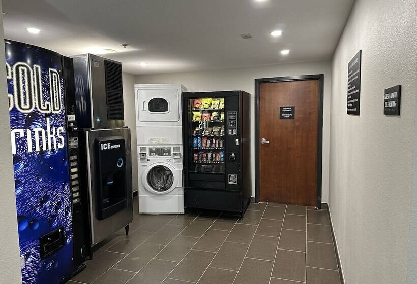 فندق Super 8 By Wyndham Alexandria La