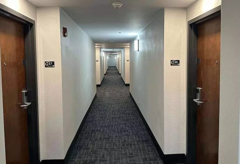 호텔 Super 8 By Wyndham Alexandria La