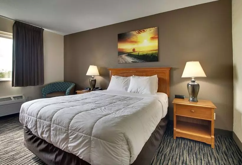 酒店 Everspring Inn & Suites