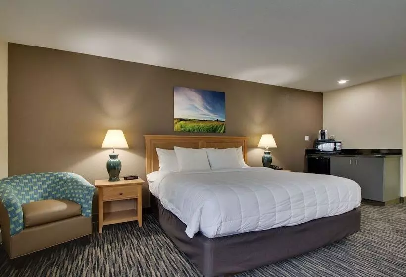 酒店 Everspring Inn & Suites