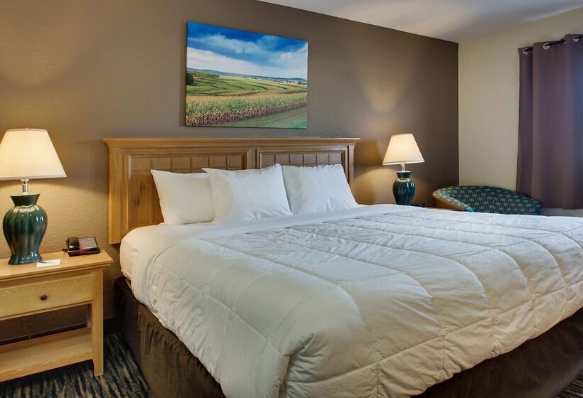 فندق Everspring Inn & Suites